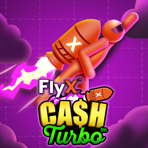 FlyX
